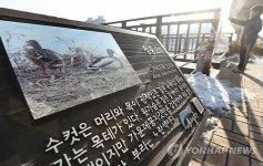 철새탐조대 폐쇄