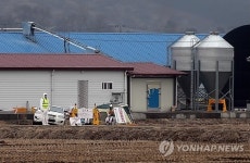 AI 확진 부여 종계장 방역 비상