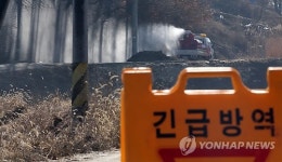 부여 종계장·시화호 AI…고병원성으로 확인