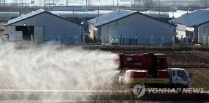 부여 종계장 AI 고병원성 확진…3㎞내 가금류 살처분