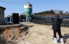김제서 양계농 AI로 토종닭 출하 못 해 자살(종합)