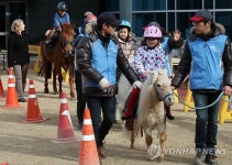 한국마사회, 서울외국인학교 승마수업