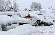 강릉 왕산마을 53㎝ 눈 폭탄 사실상 고립무원