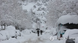진부령 85㎝…동해안 눈 폭탄 쏟아진 이유는