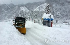 강원산간 폭설 14개 마을 고립…진입로 확보 안간힘