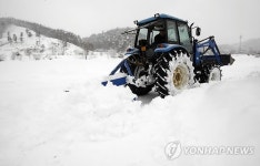 강원산간 폭설 14개 마을 고립…진입로 확보 안간힘