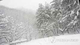 구조 요청 단경골 외딴집…또 눈