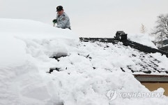 강릉 폭설 피해현장, 제설작업 벌이는 기동대원들