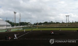 스프링캠프 연습경기