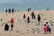 포근한 부산…갈매기와 추억