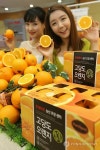 고당도 오렌지 20% 저렴하게