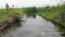 세종시 장남평야에 국내 최대 생태습지공원 조성