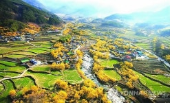 구례 산수유꽃축제 22∼30일까지