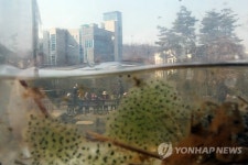 유아숲에서 생태체험하는 어린이들