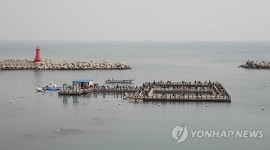 울산 송정 바다낚시터 재개장 대박났네