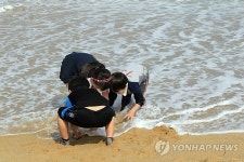 봄이 오는 속초 해변