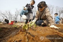 텃밭 파종 준비하는 시민들