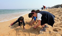 봄이 오는 속초 해변