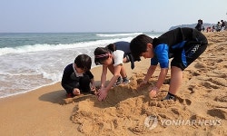 봄이 오는 속초 해변
