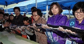 제주동문시장 60주년 기념 김밥 길게 말기
