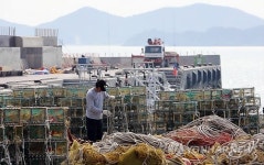 백령·연평도 등 서해 5도 하루 만에 조업 재개