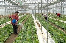 과학농사방법을 체득하는 北 농장원들