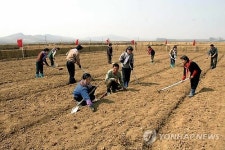 과학농사방법을 체득하는 北 농장원들