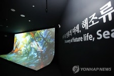 '해조류 보러 오세요'