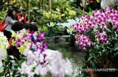 5일부터 봄꽃 페스티벌