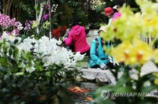 5일부터 봄꽃 페스티벌