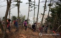 태안 솔향기길에 탐방객 몰려