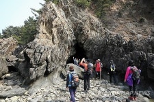 탐방객 몰리는 태안 솔향기길