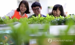 우리 사무실을 그린힐링 오피스로