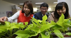 우리 사무실을 그린힐링 오피스로