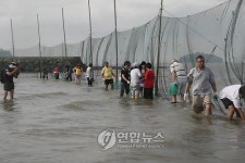'개막이·홰바리'…남해서 체험행사 즐겨요