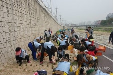 수자원공사 강원본부 공지천 가꾸기