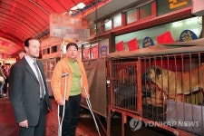 국제동물보호단체 부산 구포시장 방문