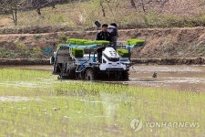 강원도 첫 모내기
