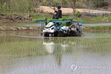 강원도 첫 모내기