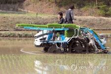 강원도 첫 모내기