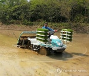 영덕지역 첫 모내기