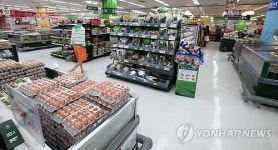 가라앉은 내수, 한적한 대형마트