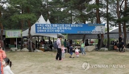 공연 취소 알리는 플래카드 걸린 축제장