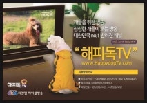 씨앤앰, 국내 반려견 행태 반영한 해피독TV 방송