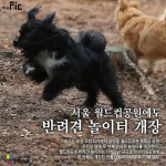 <이슈픽> 서울 월드컵공원에도 반려견 놀이터 개장