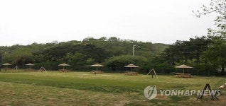 서울 월드컵공원에도 반려견 놀이터 개장