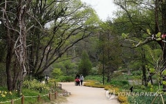 천리포수목원의 신록