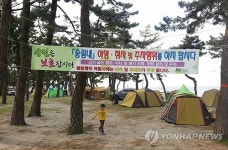 불법 주차와 야영으로 몸살 앓는 송림