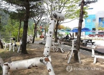 고속도로 휴게소의 자작나무 조형물