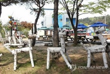 고속도로 휴게소의 자작나무 조형물